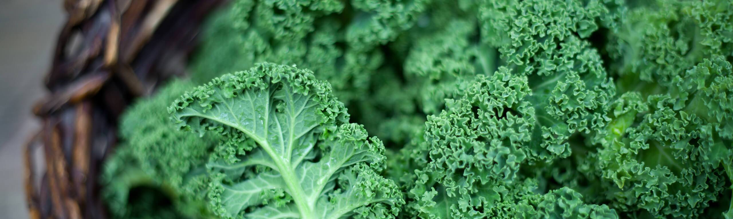 What is the difference between synthetic and natural folate (vitamin B9)?