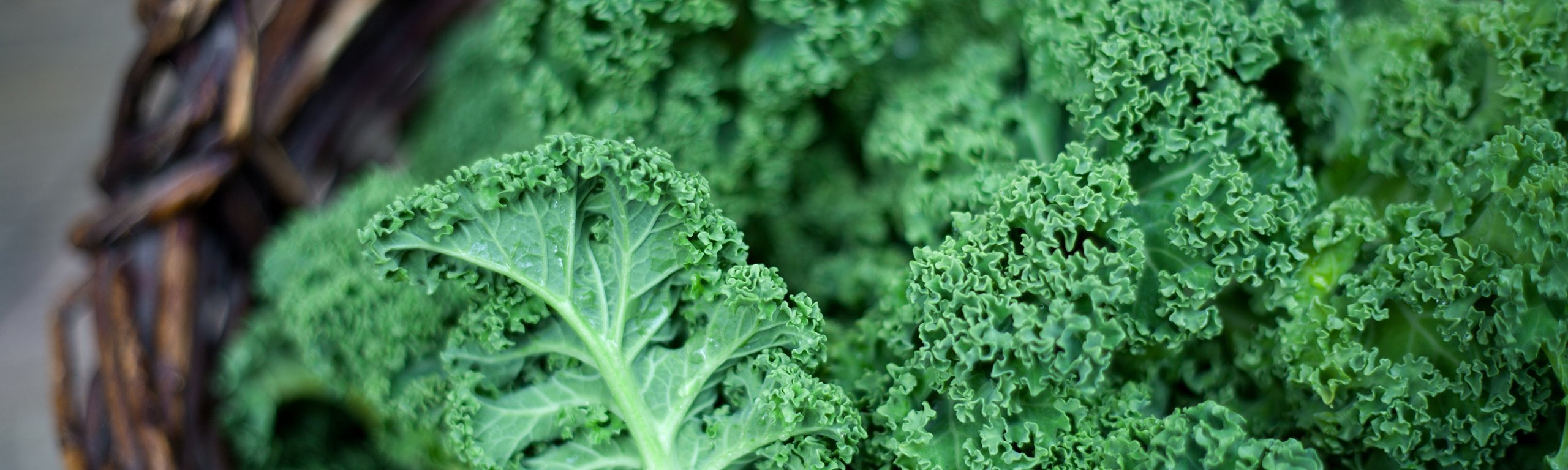 Kale and Sweet Potato Soup